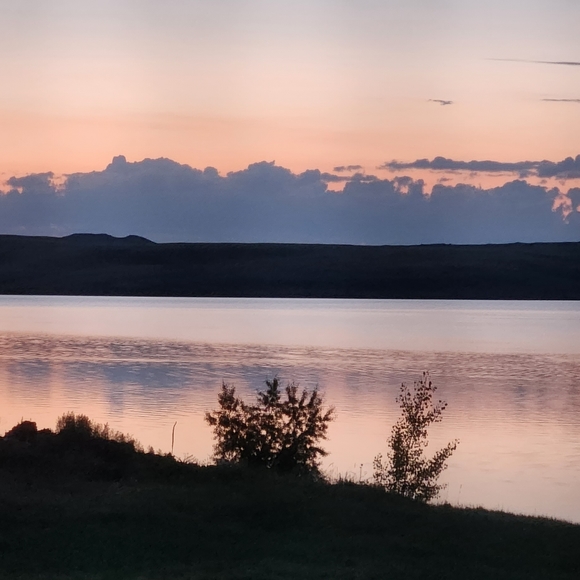 Meet your Posher, Sophia - Picture 3 of 5